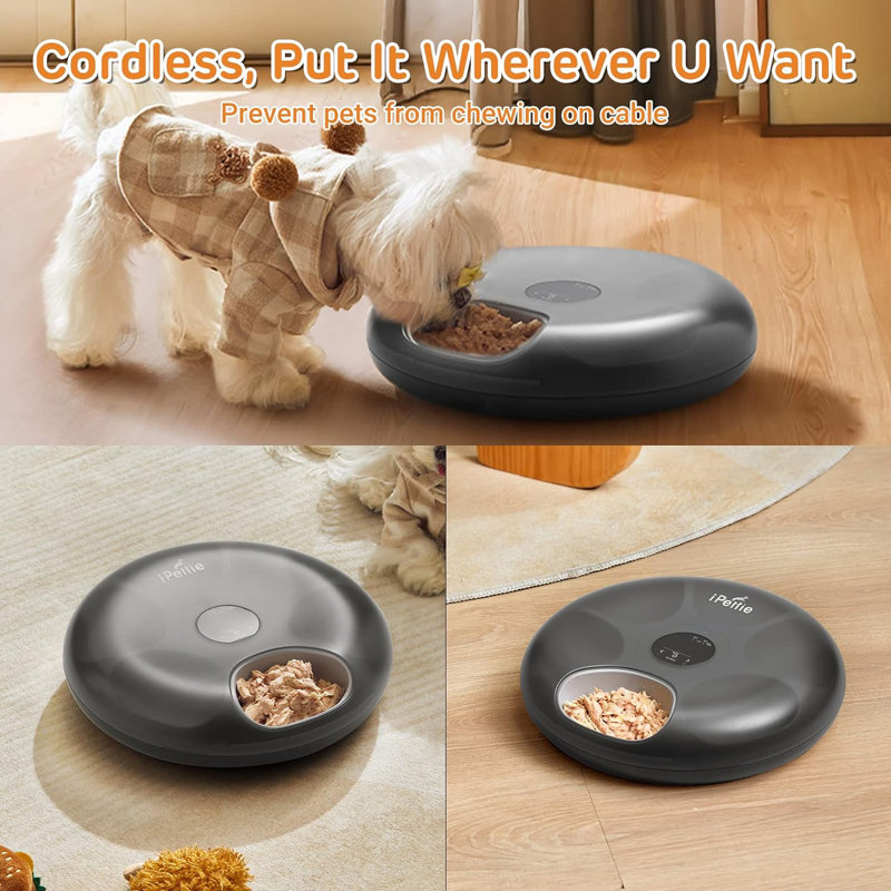 iPettie Donuts Frost 6 Meal Cordless Automatic Pet Feeder Dry Wet Food Automatic Cat Feeder Reviews Wayfair Canada